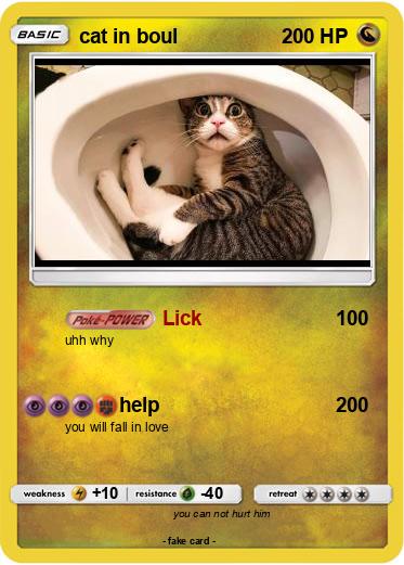 Pokemon cat in boul