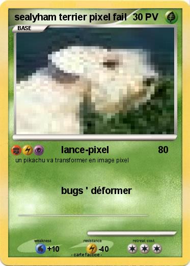 Pokemon sealyham terrier pixel fail