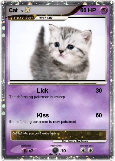 Pokemon Cat