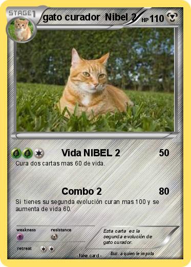 Pokemon gato curador  Nibel 2