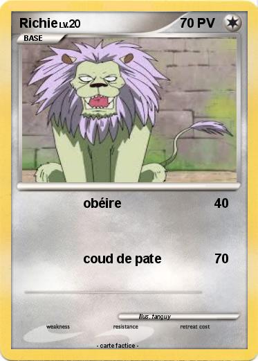 Pokemon Richie