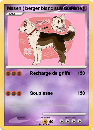 Pokemon Masen ( berger blanc suisse mixte )
