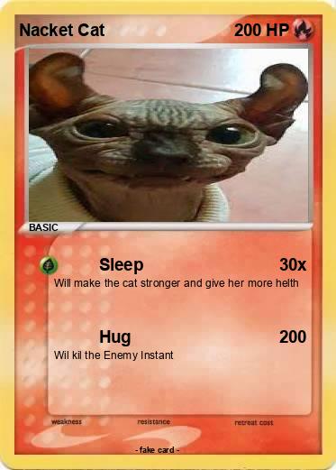 Pokemon Nacket Cat
