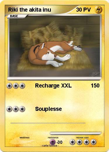 Pokemon Riki the akita inu