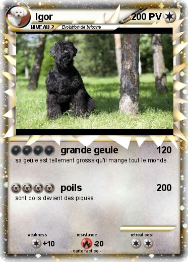 Pokemon Igor
