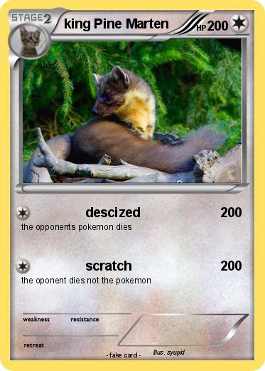 Pokemon king Pine Marten