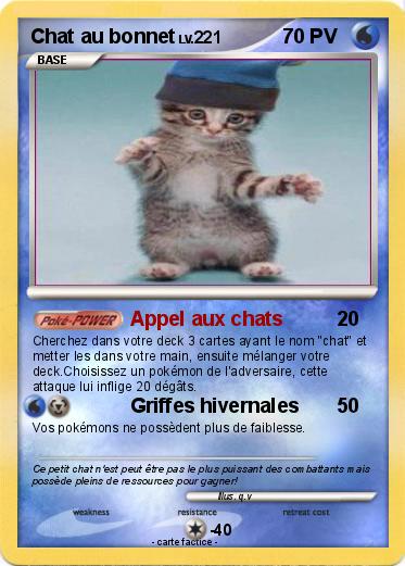 Pokemon Chat au bonnet