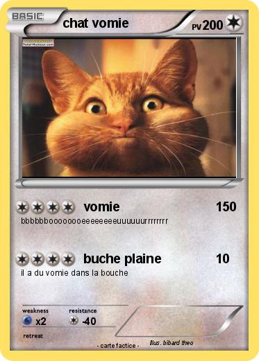 Pokemon chat vomie