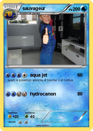 Pokemon sauvageur