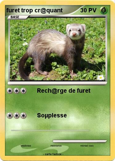 Pokemon furet trop cr@quant