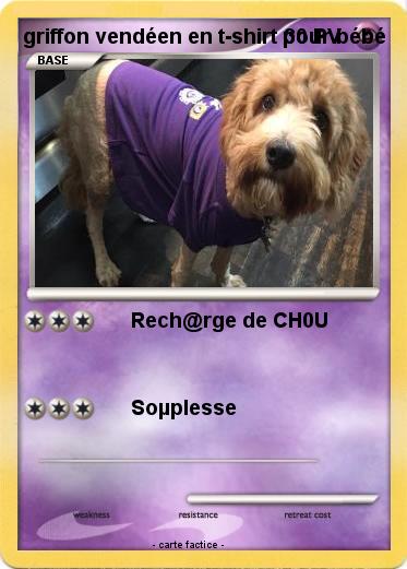 Pokemon griffon vendéen en t-shirt pour bébé