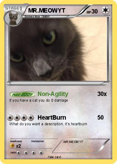 Pokemon MR.MEOWYT