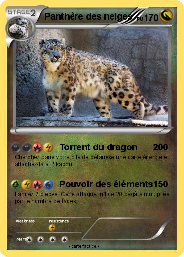 Pokemon Panthère des neiges