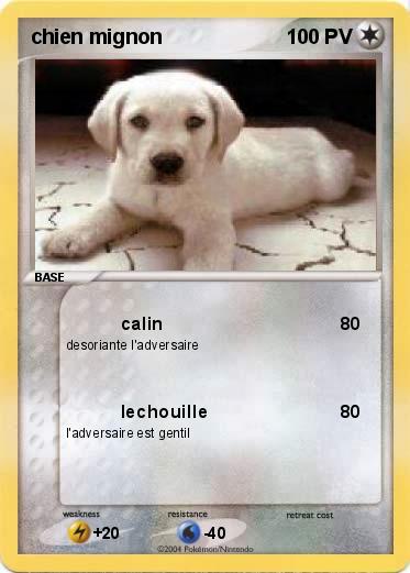 Pokemon chien mignon
