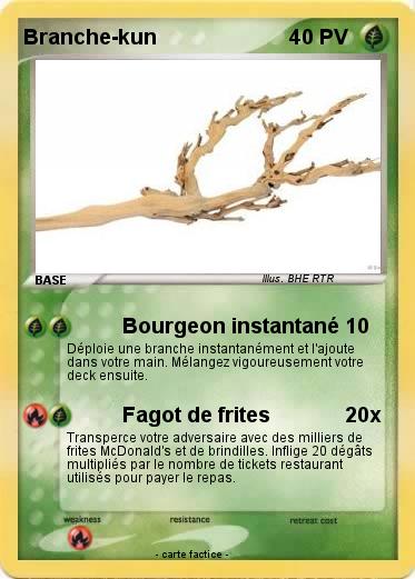 Pokemon Branche-kun