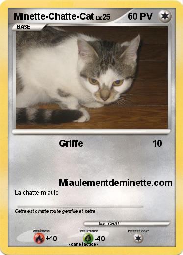 Pokemon Minette-Chatte-Cat