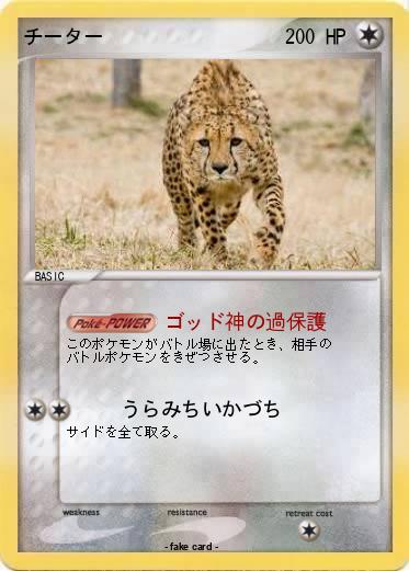 Pokemon チーター