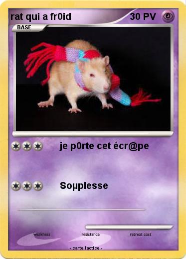 Pokemon rat qui a fr0id