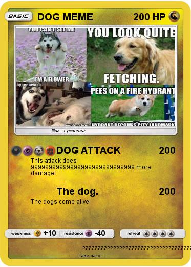 Pokemon DOG MEME
