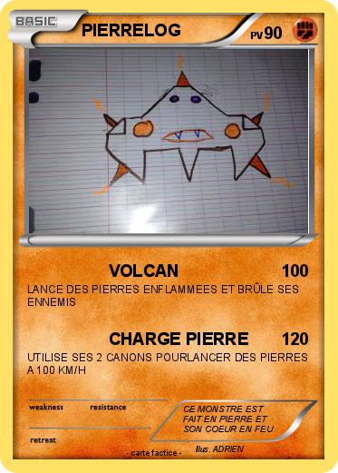 Pokemon PIERRELOG