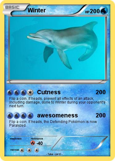 Pokemon Winter