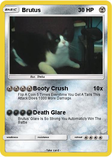 Pokemon Brutus