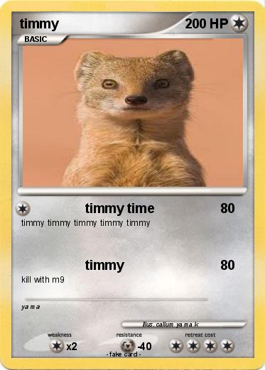 Pokemon timmy