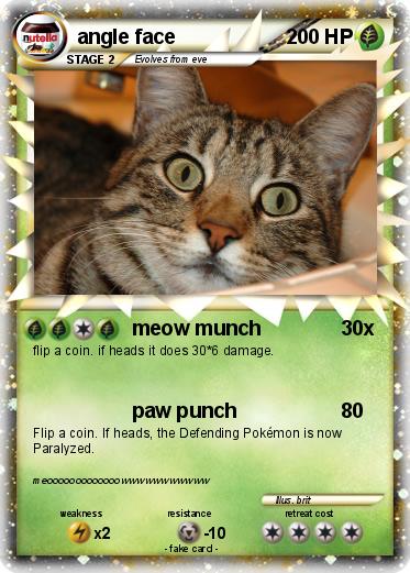 Pokemon angle face