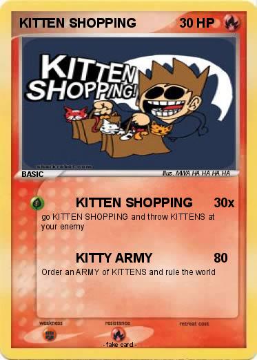 Pokemon KITTEN SHOPPING