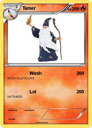 Pokemon Tamer