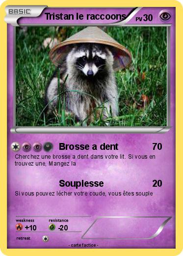 Pokemon Tristan le raccoons