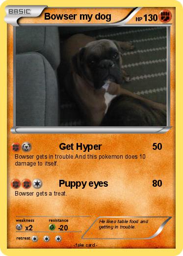 Pokemon Bowser my dog