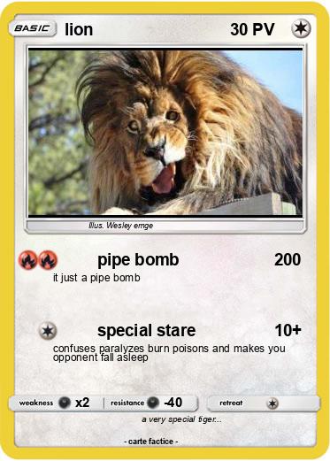 Pokemon lion