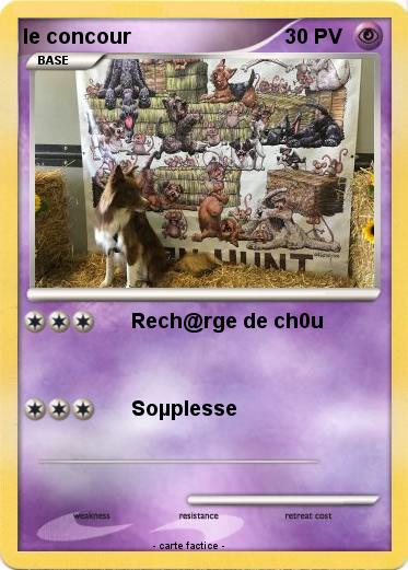 Pokemon le concour