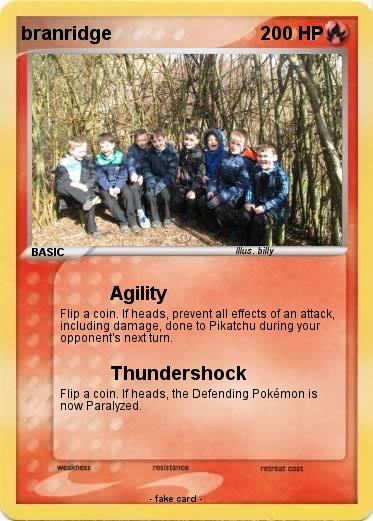Pokemon branridge