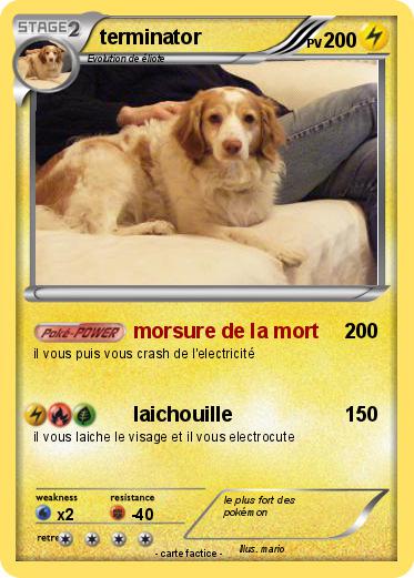 Pokemon terminator