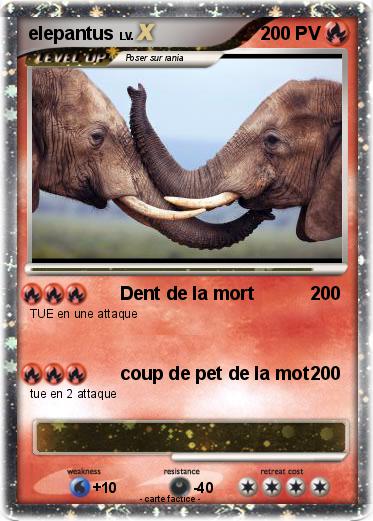 Pokemon elepantus
