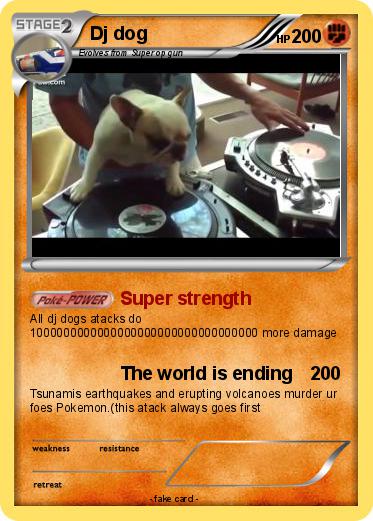 Pokemon Dj dog