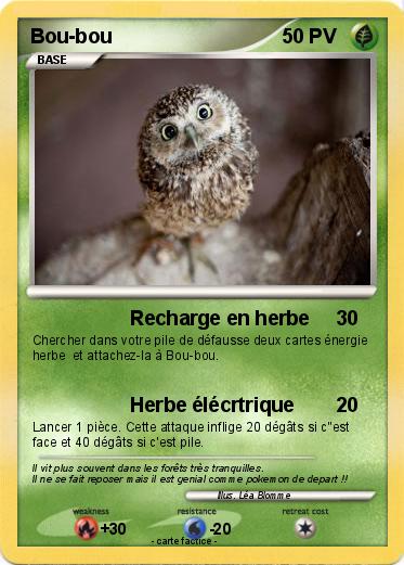 Pokemon Bou-bou