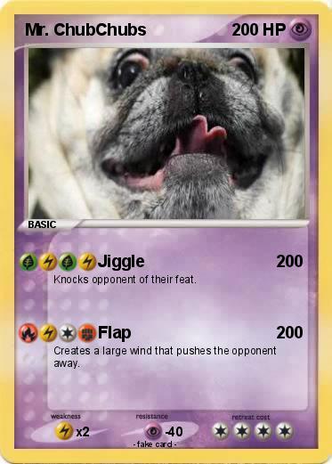 Pokemon Mr. ChubChubs