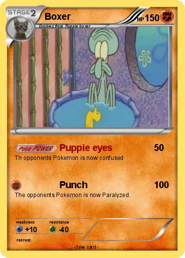 Pokemon Boxer