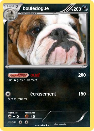 Pokemon bouledogue