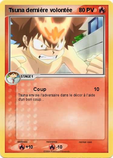 Pokemon Tsuna dernière volontée
