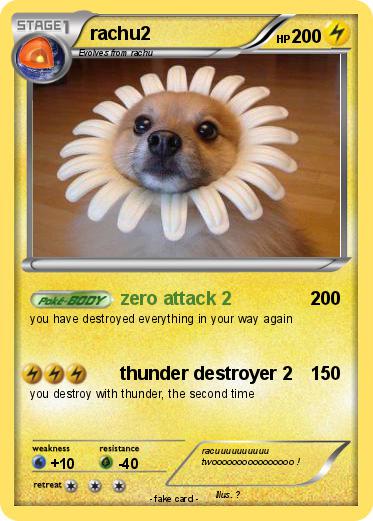 Pokemon rachu2