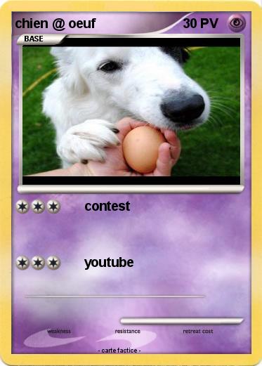 Pokemon chien @ oeuf