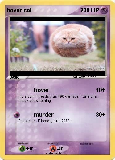 Pokemon hover cat