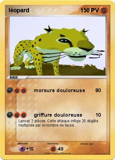 Pokemon léopard