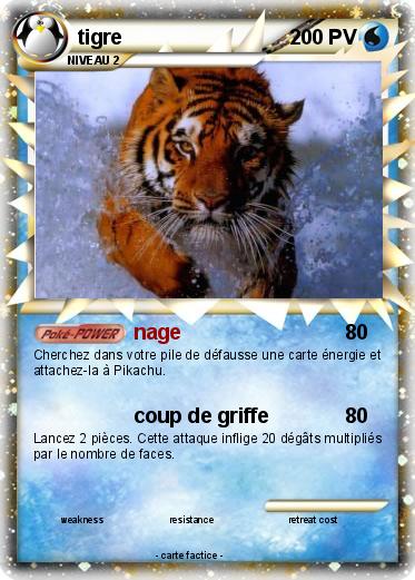Pokemon tigre