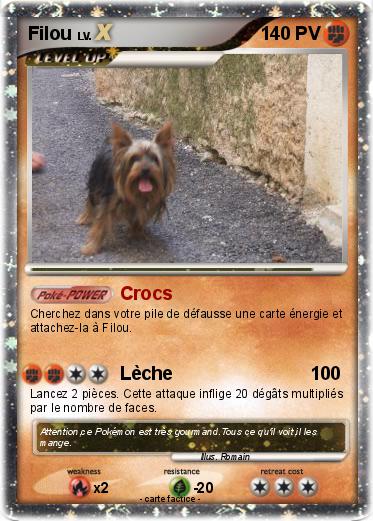 Pokemon Filou