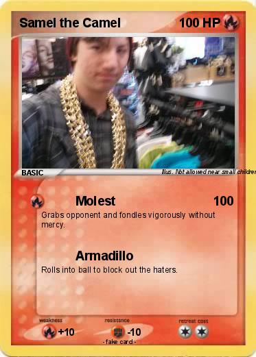 Pokemon Samel the Camel